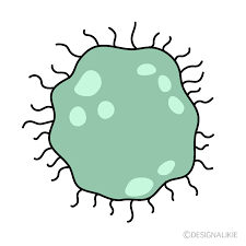 a mold